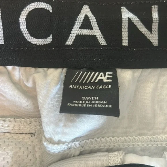 American Eagle Outfitters Men's Gray Shorts - Picture 2 of 6